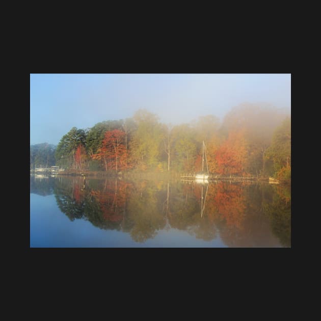 Fog and Fall Colors by tgass