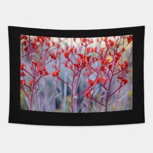 Red Kangaroo Paw Tapestry