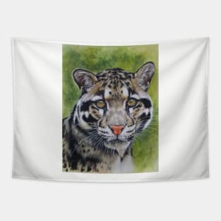 Clouded Leopard in Color Tapestry