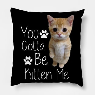 You Gotta Be Kitten Me Funny Cat Pillow