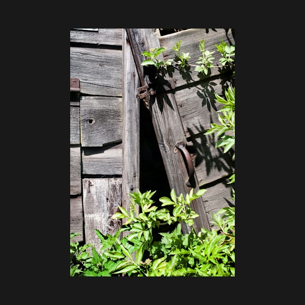 Old abandoned  shed doors being taken over by nature - Yorkshire, UK by richflintphoto