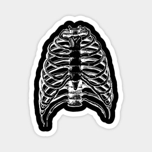 Thorax bones Magnet