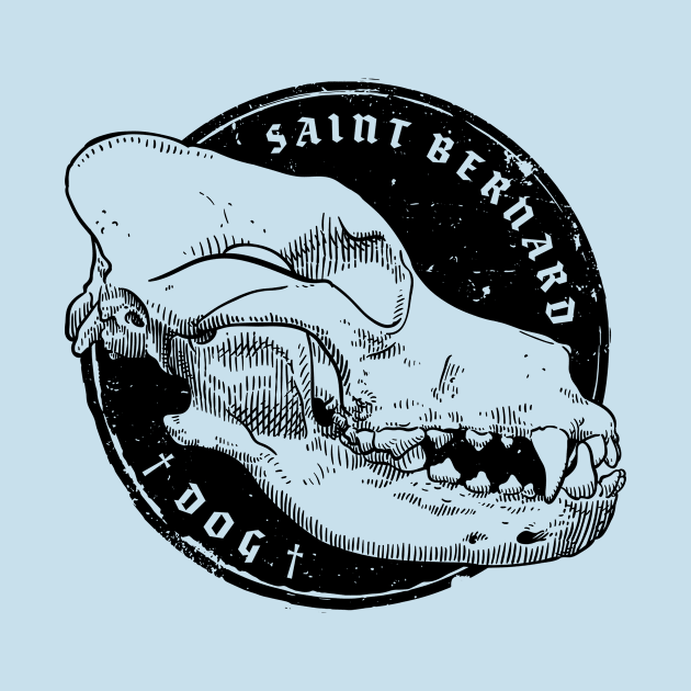 Skull of Saint Bernard Dog by StefanAlfonso