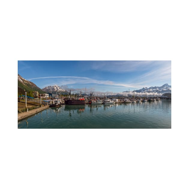 Seward Panorama by andykazie