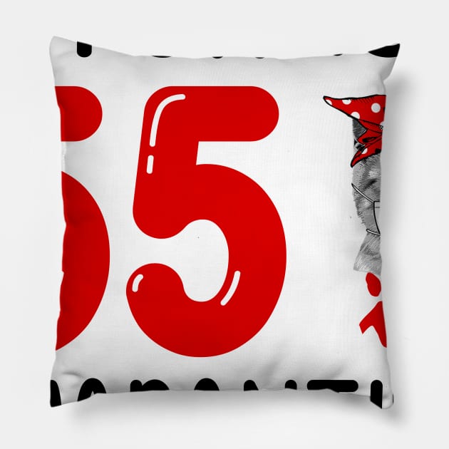 I Turned 55 In Quarantine Funny Cat Facemask Pillow by David Darry