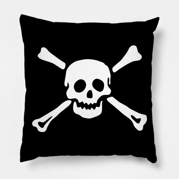 Skull and Crossbones Pirate Pillow by Stacks