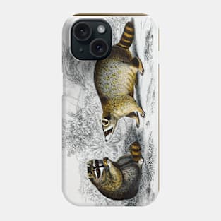 Raccoon (Procyon lotor) illustrated by Charles Dessalines D' Orbigny (1806-1876) Phone Case