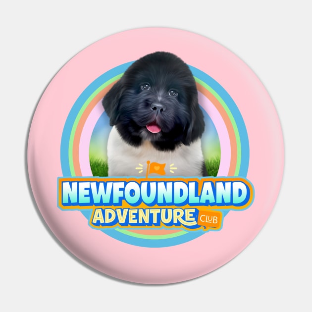 Newfoundland puppy Pin by Puppy & cute