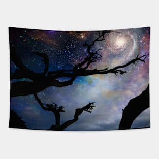 Black leafless tree branches Tapestry