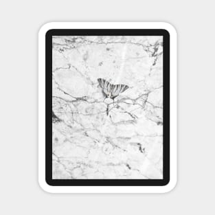 Marble Texture with Butterfly Magnet