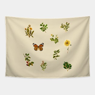 Vintage Botanical pack 3 Tapestry