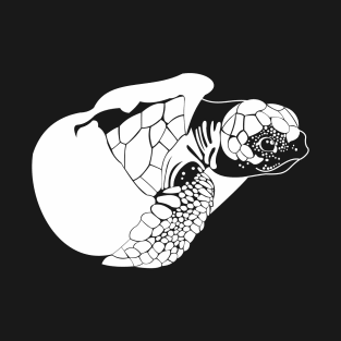 baby turtle T-Shirt