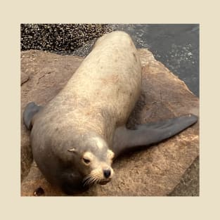 Sea Lion "Forever Chilling" T-Shirt