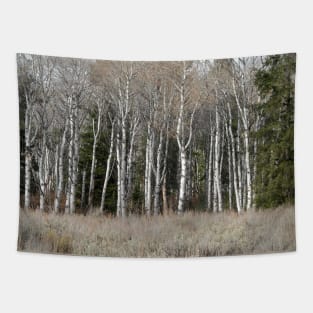 A Grove of Birch Trees Tapestry