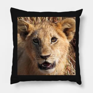 Lion Cub Portrait, Maasai Mara, Kenya Pillow