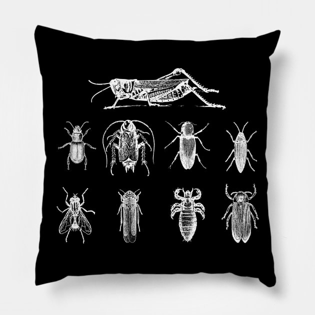 Insect - Insects Pillow by Kudostees