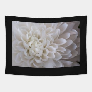 White chrysanthemum petals Tapestry