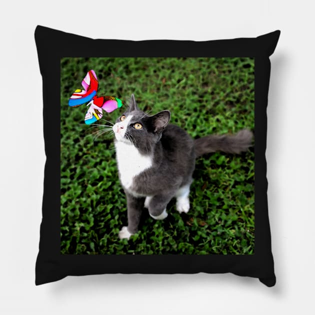 Cat and butterfly Pillow by dltphoto