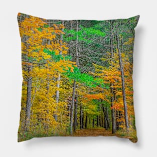 Could it be Autumn Pillow