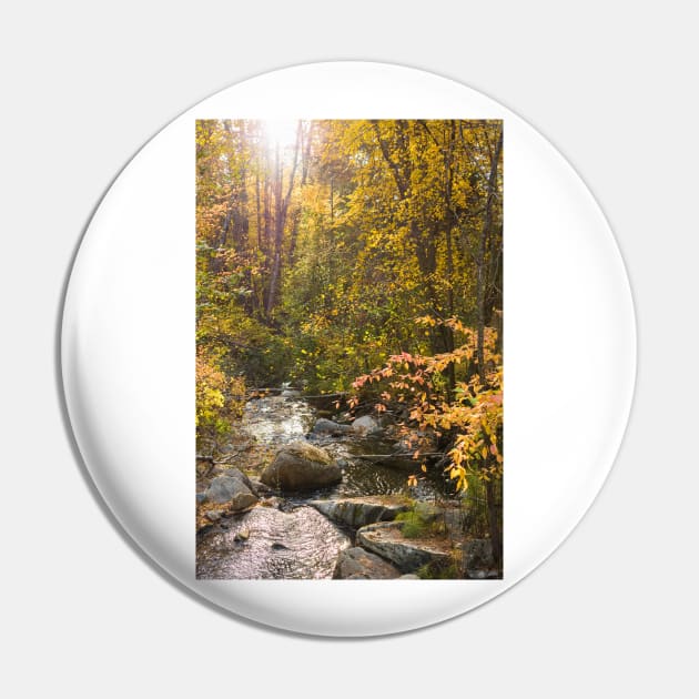 Peaceful Stream Through Autumn Forest in Sunshine Pin by Amy-K-Mitchell