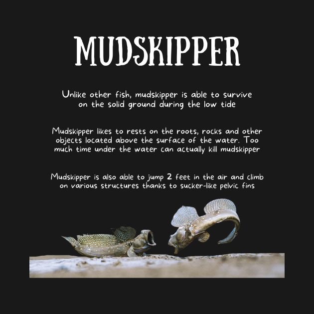 Discover Animal Facts - Mudskipper - Mudskipper - T-Shirt