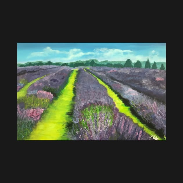 Lavender Fields by artdesrapides