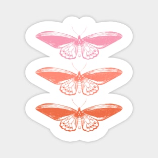 Pink and Orange Vintage Butterfly Magnet