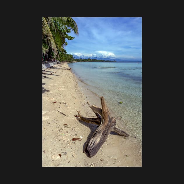 driftwood on the beach by likbatonboot