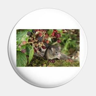 brambles and mouse Pin