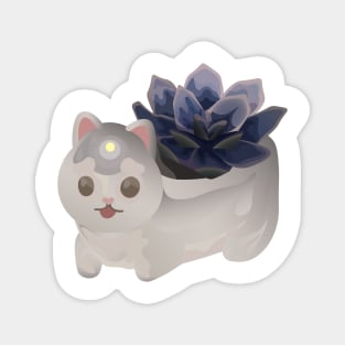 White Succulent Cat! Magnet