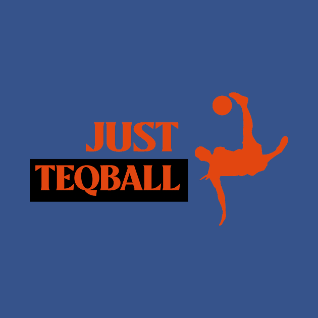 Just Teqball by Teqball Store