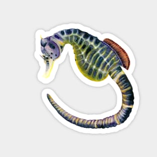 Big-bellied seahorse watercolour painting Magnet