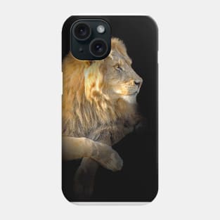 Lion Animal Wildlife Jungle Nature Safari Adventure Discovery Africa Digital Painting Phone Case