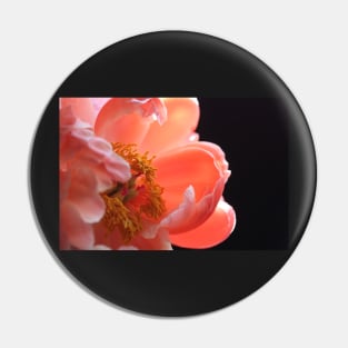 Peach Peony Macro Pin