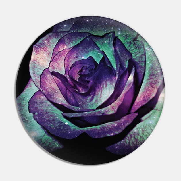 Floral Glitter Galaxy Purple Blue and Pink Rose Flower from Beautiful Blooming Botanical Garden in Nature with Minimal Style during Spring Summer Pin by Little Shop of Nola