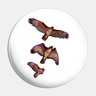 Hawks in Flight Pin