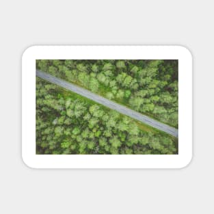 Empty road going diagonally through the forest top down aerial view Magnet