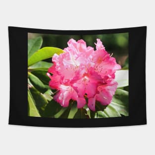 Pretty Rhododendron Tapestry