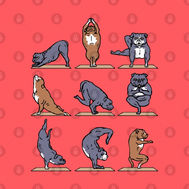 American Pit Bull Terrier Yoga by huebucket