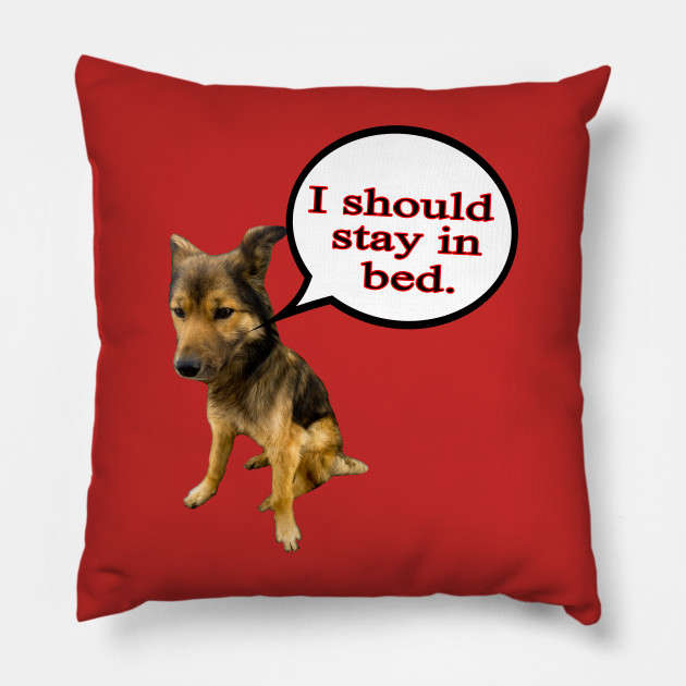 21+ Funny Dog Memes Pillow Factory Memes