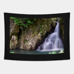 Waterfalls in the forest Tapestry