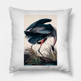 Bird of America  Bird, bird lover, america, beautiful  Public domain painting by John James Audubon Pillow