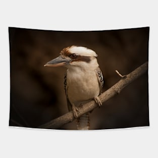 Laughing Kookaburra_3208A Tapestry