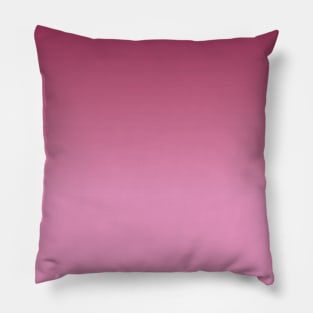 Blush & Bashful Pillow