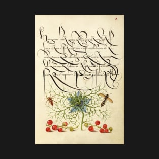 Illuminated manuscript: Spider, Love-in-a-Mist, Potter Wasp, and Red Currant, from "Mira calligraphiae monumenta", 1500s, cleaned and restored T-Shirt