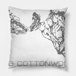 Big Cottonwood Canyon 3D Pillow