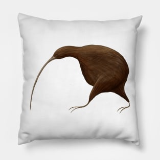 Its a Kiwi Pillow