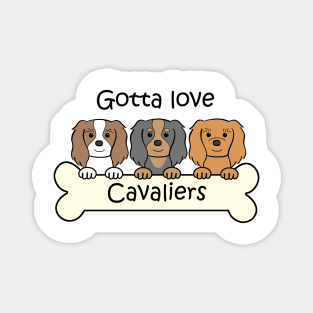 Gotta Love Cavaliers Magnet