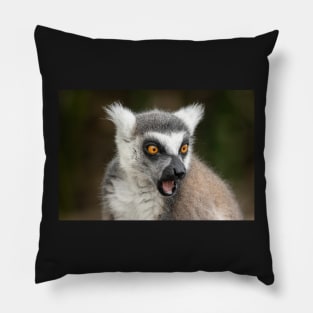 What The?? Ring-Tailed Lemur Pillow