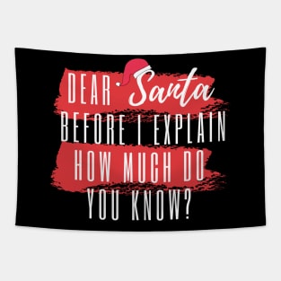 DEAR SANTA BEFORE I EXPLAIN HOW MUCH DO YOU KNOW Tapestry